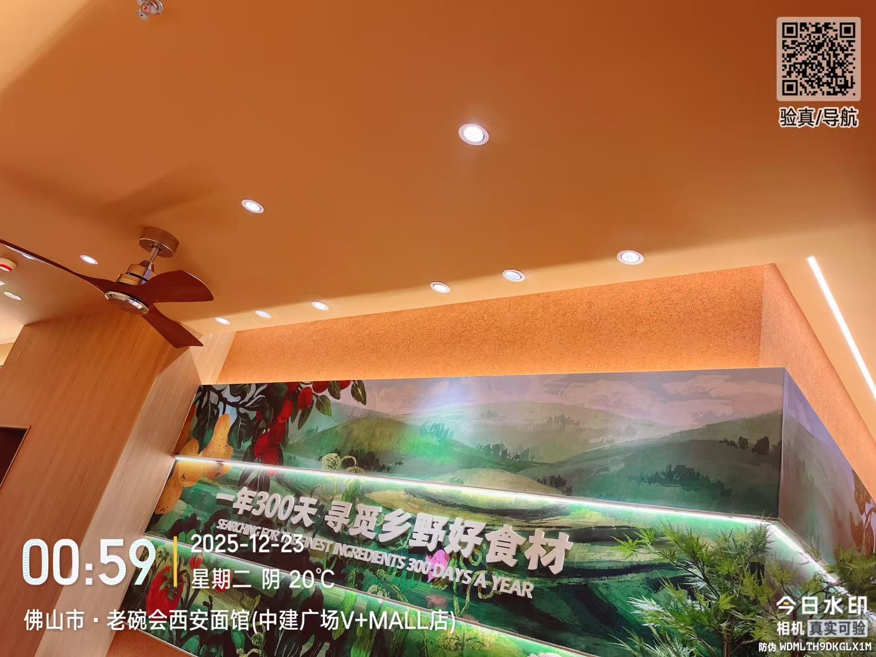 安装完成效果