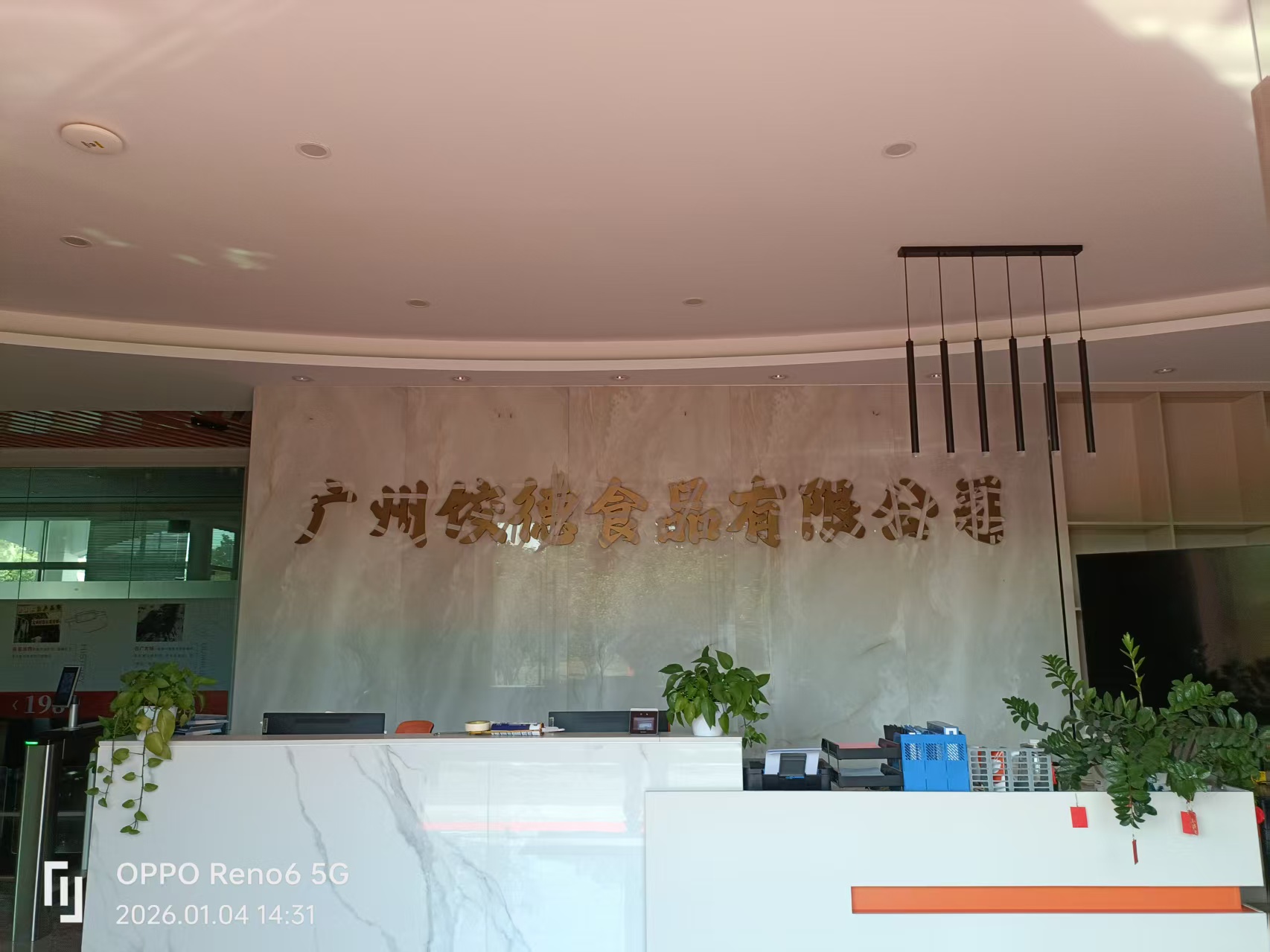 粤饺皇门店安装完成效果